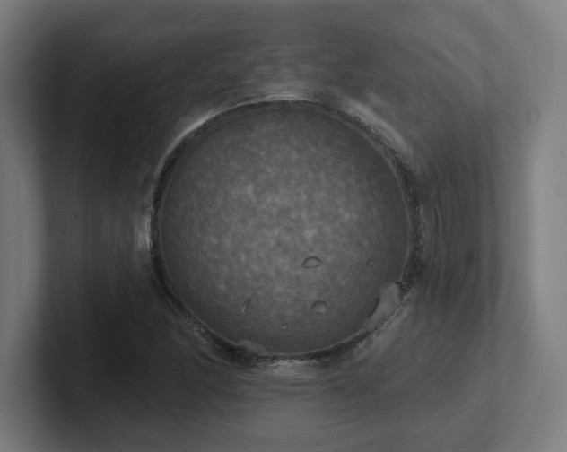 X0000102411166200808011601