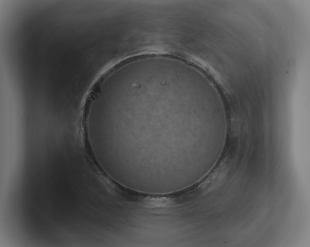 X0000102411168200808011601
