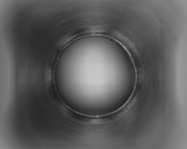 X0000102411169200808011601