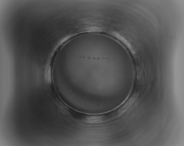 X0000102411171200808011601