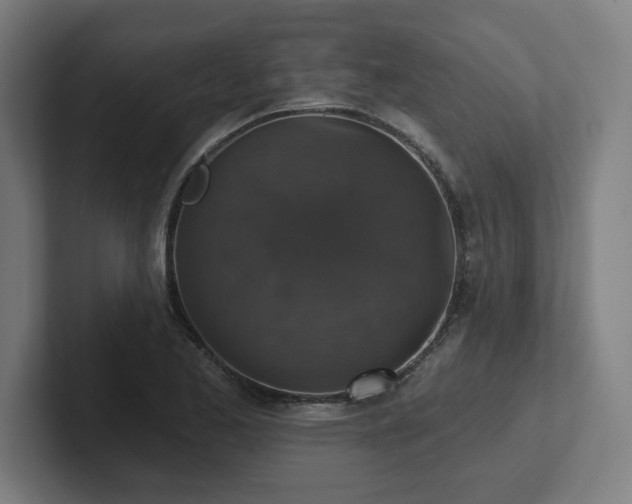 X0000102411173200808011601