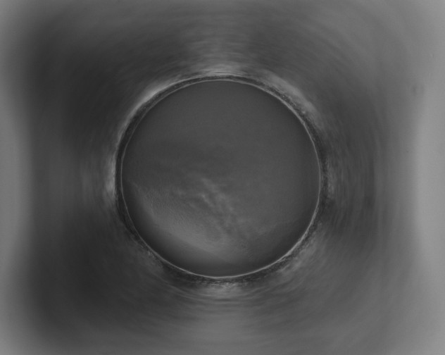X0000102411174200808011601