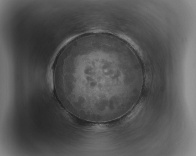 X0000102411175200808011601