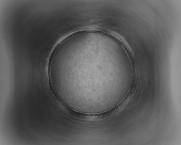 X0000102411176200808011601
