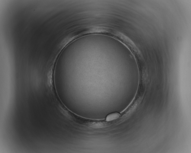 X0000102411177200808011601