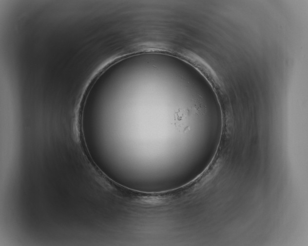 X0000102411182200808011601