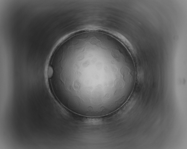 X0000102411183200808011601