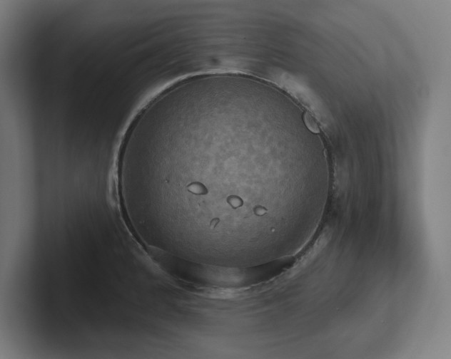 X0000102411184200808011601