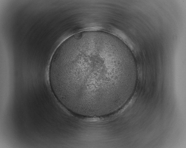 X0000102411186200808011601