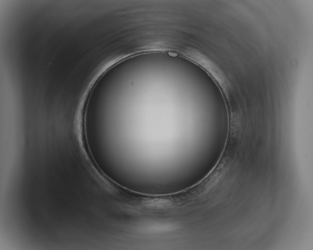 X0000102411187200808011601