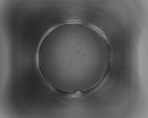 X0000102411188200808011601
