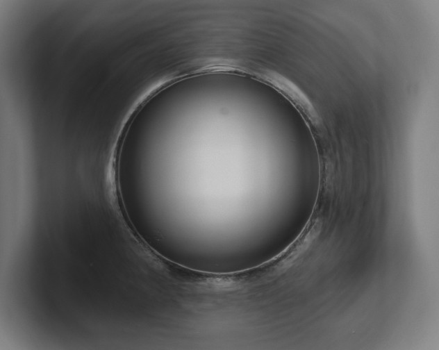 X0000102411190200808011601