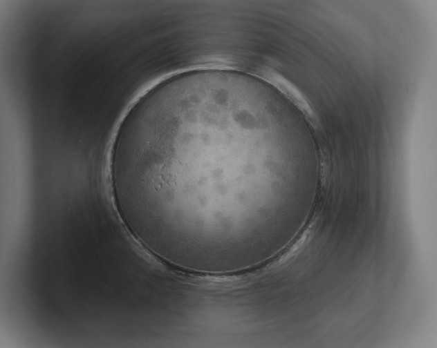 X0000102411192200808011601
