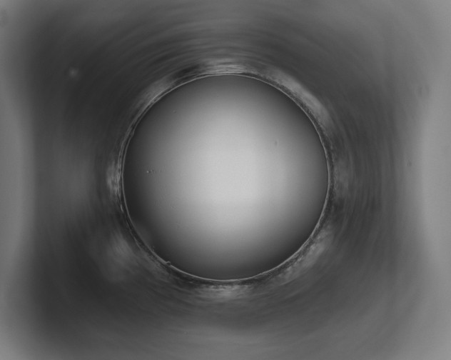 X0000102411193200808011601