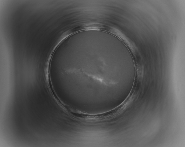 X0000102411194200808011601