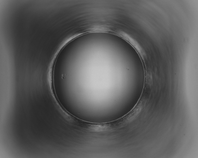 X0000102411195200808011601
