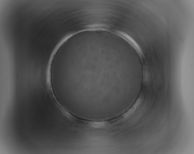 X0000102411196200808011601