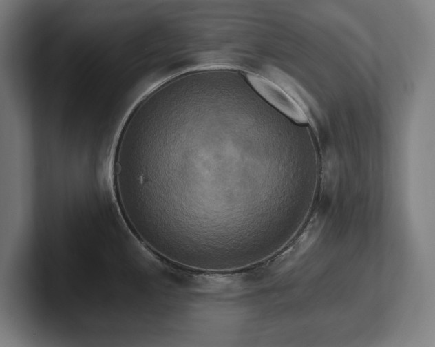 X0000102411197200808011601