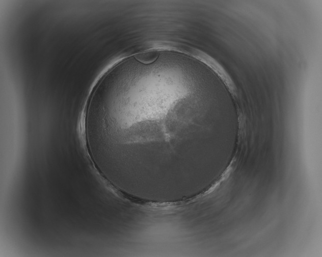 X0000102411198200808011600