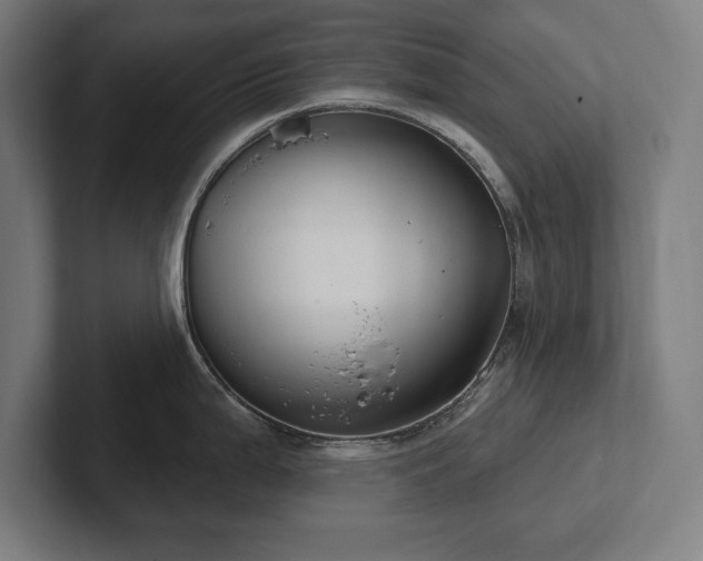 X0000102411199200808011600