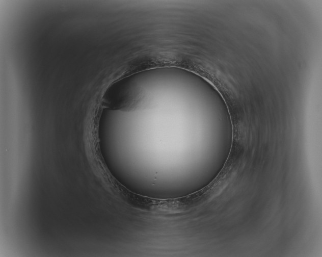 X0000102411201200808011600