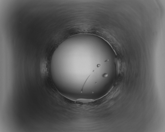 X0000102411202200808011600