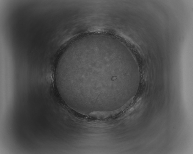X0000102411206200808011600