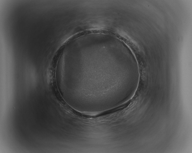 X0000102411208200808011600