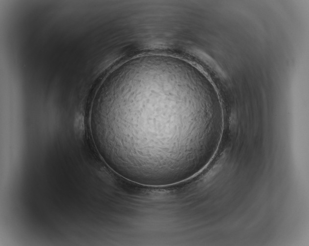 X0000102411209200808011600