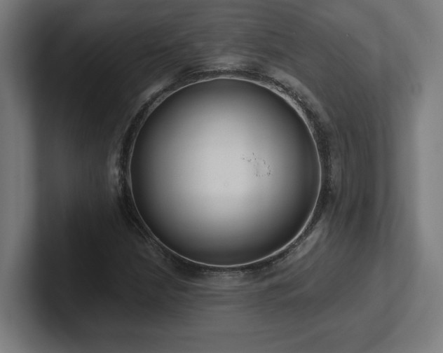 X0000102411210200808011600