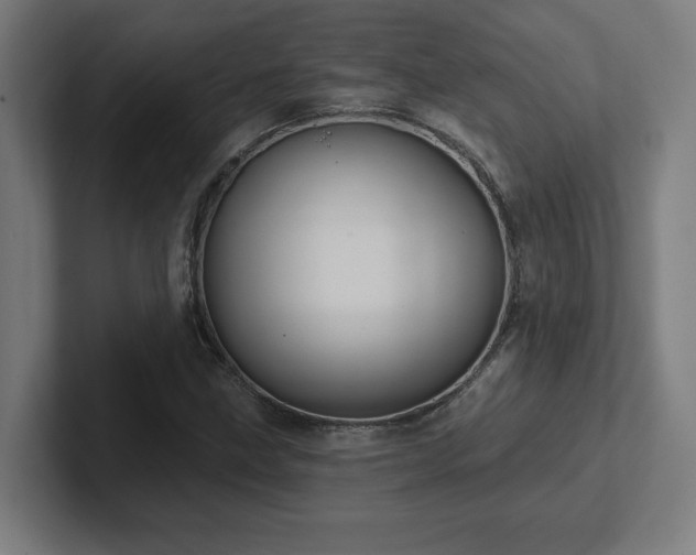 X0000102411211200808011600