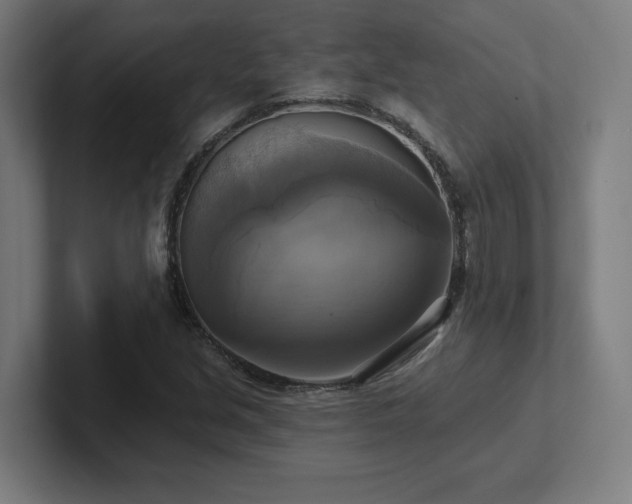 X0000102411213200808011600