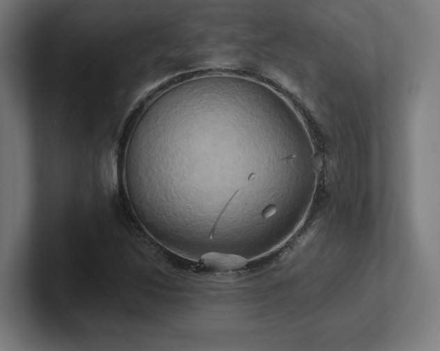 X0000102411214200808011600