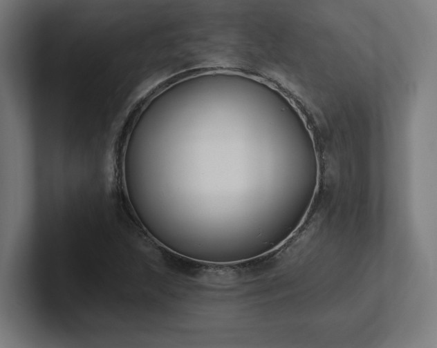 X0000102411215200808011600
