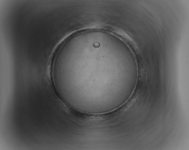 X0000102411216200808011600