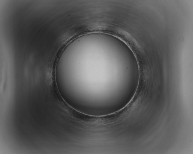 X0000102411217200808011600