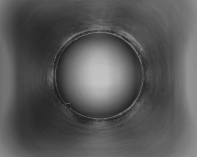 X0000102411220200808011600