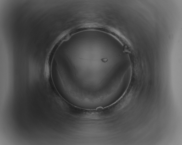 X0000102411221200808011600