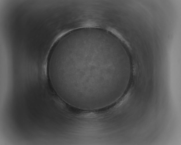 X0000102411222200808011600