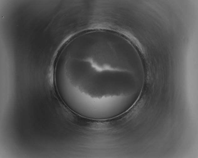 X0000102411224200808011600