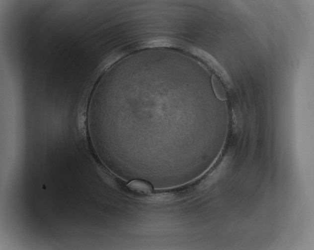 X0000102411225200808011600