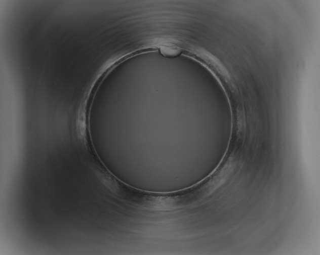 X0000102411226200808011600