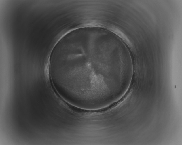 X0000102411228200808011600