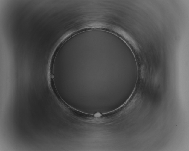 X0000102411229200808011600