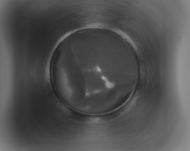 X0000102411230200808011600
