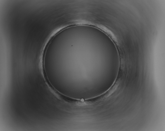 X0000102411231200808011600