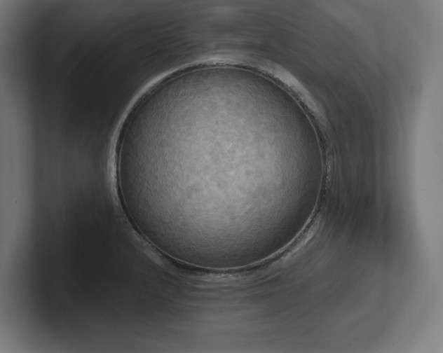 X0000102411232200808011600