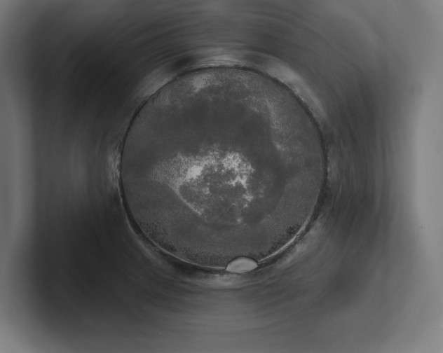 X0000102411233200808011600