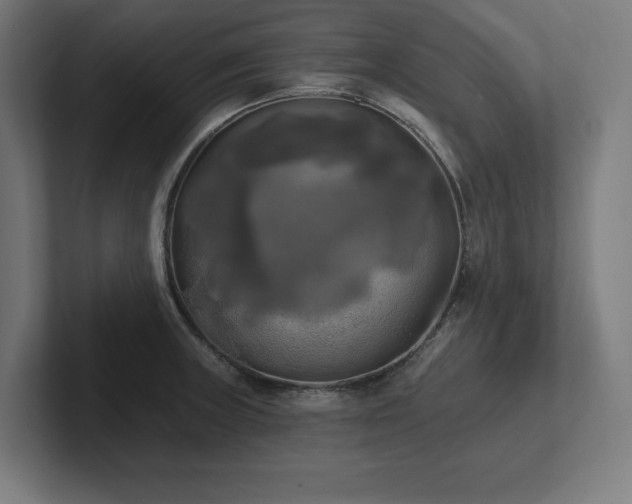 X0000102411235200808011600