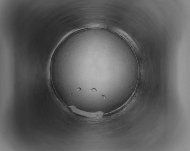 X0000102411236200808011600